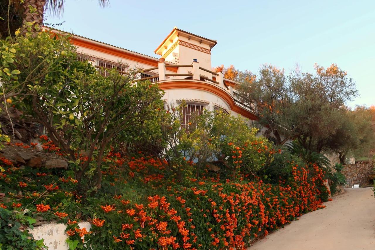 Villa Los Naranjos Sayalonga Buitenkant foto