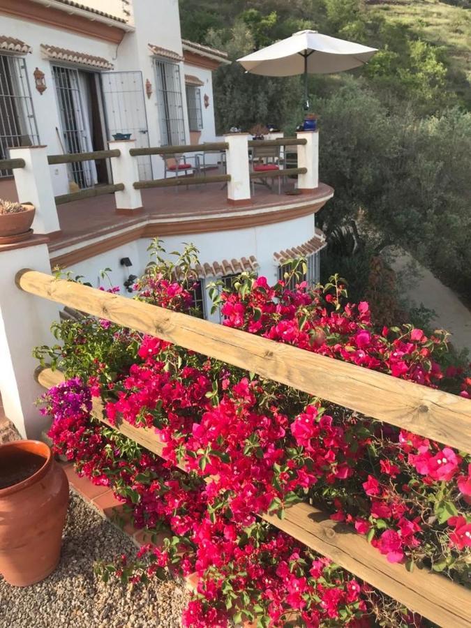 Villa Los Naranjos Sayalonga Buitenkant foto