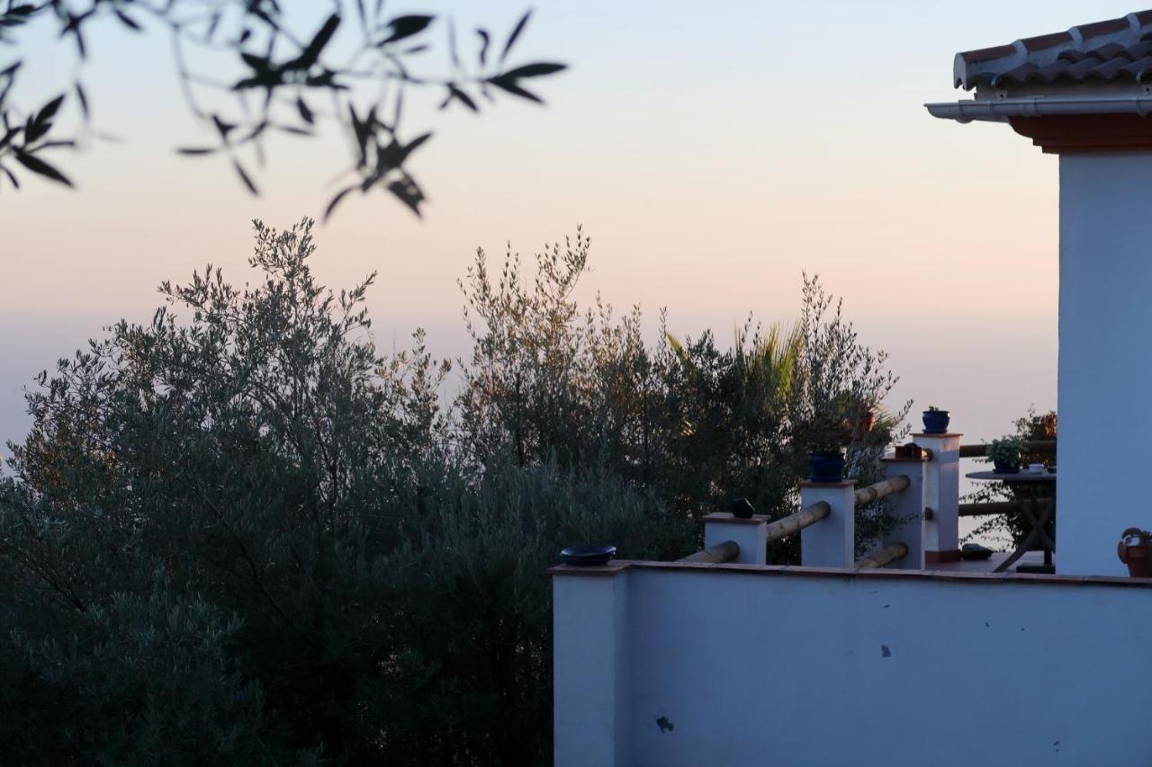 Villa Los Naranjos Sayalonga Buitenkant foto